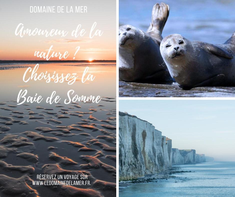Woignarue Domaine De La Mer מראה חיצוני תמונה
